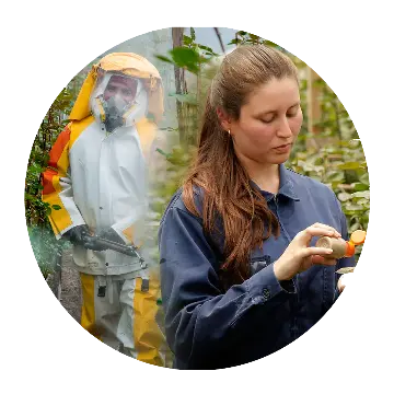 Spot spraying and biological control